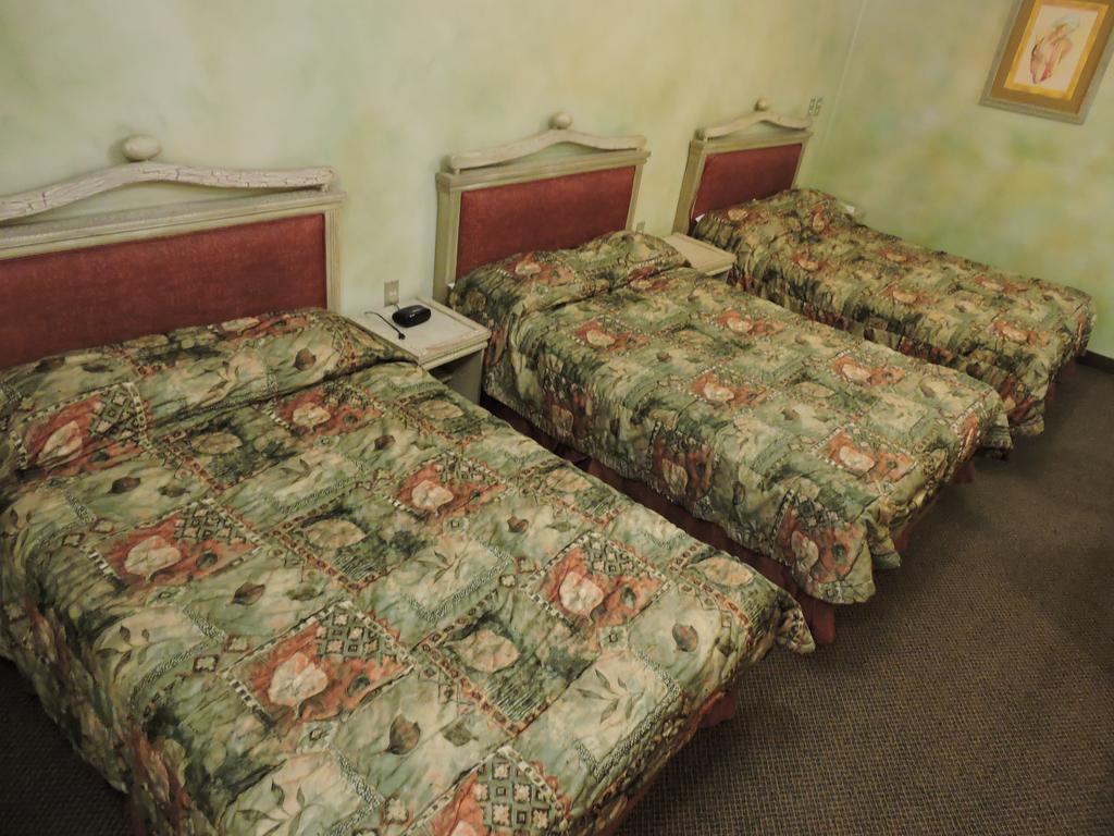Hotel Quinta Cesar Сан Хуан де лос Лагос Екстериор снимка